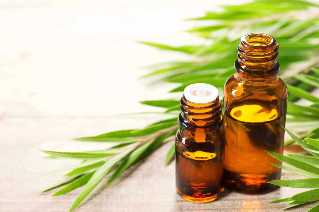 Tea Tree Oil: A Natural Support for Acne-Prone Skin